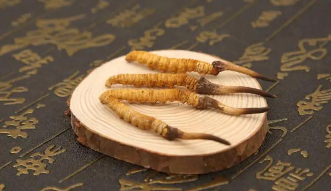 我在西藏那曲挖蟲草：1根只要10塊錢？