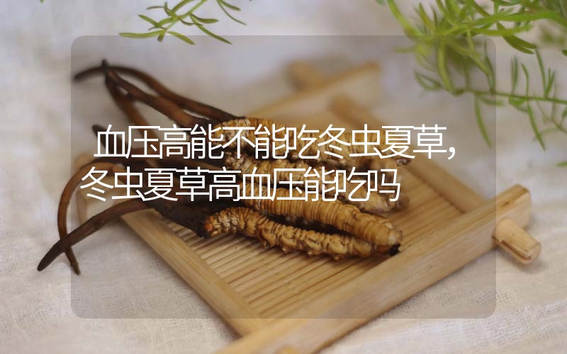 血壓高能不能吃冬蟲夏草，冬蟲夏草高血壓能吃嗎？