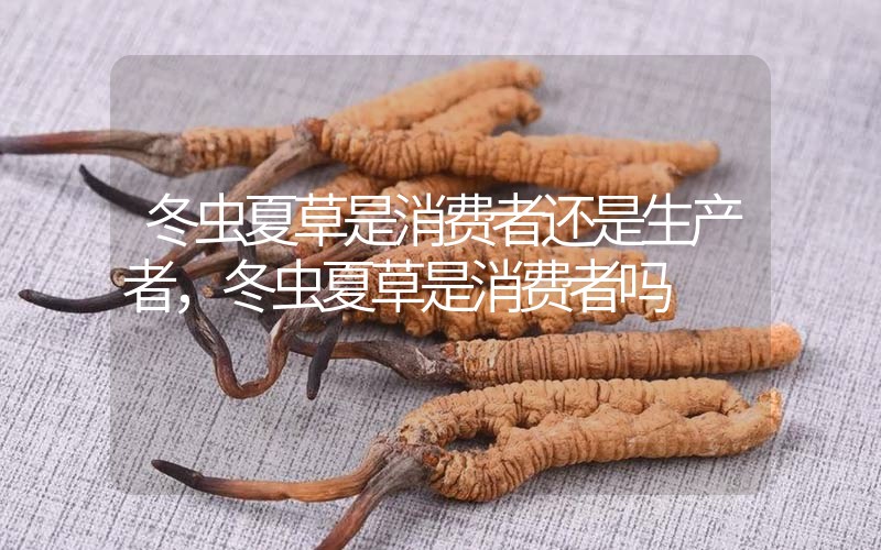 貧血吃冬蟲夏草有效果嗎，貧血虛弱者可以用冬蟲夏草嗎？