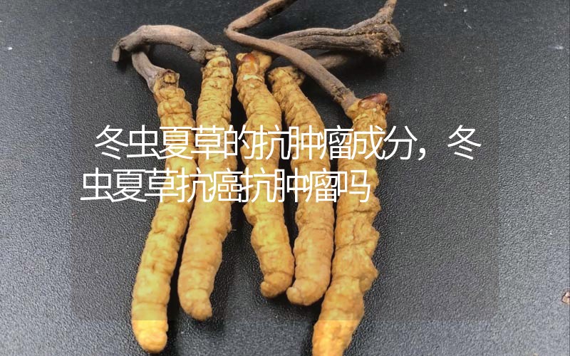 冬蟲夏草的抗腫瘤成分，冬蟲夏草抗癌抗腫瘤嗎？