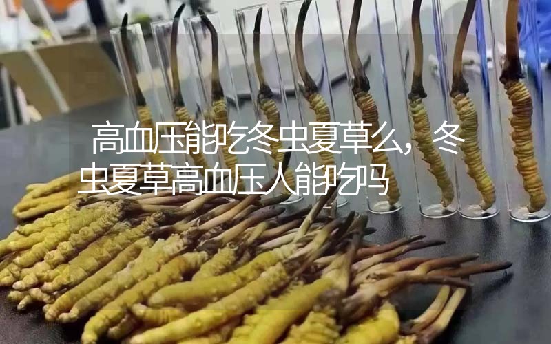 高血壓能吃冬蟲夏草么，冬蟲夏草高血壓人能吃嗎