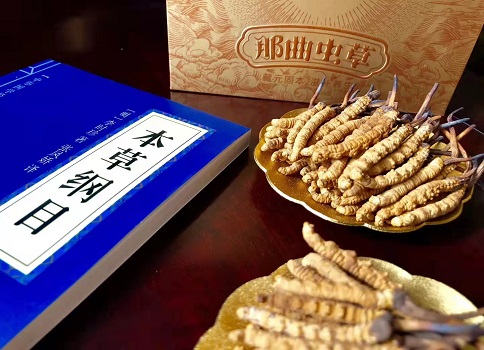 冬蟲夏草真就那么好嗎？它的主要功能是什么呀