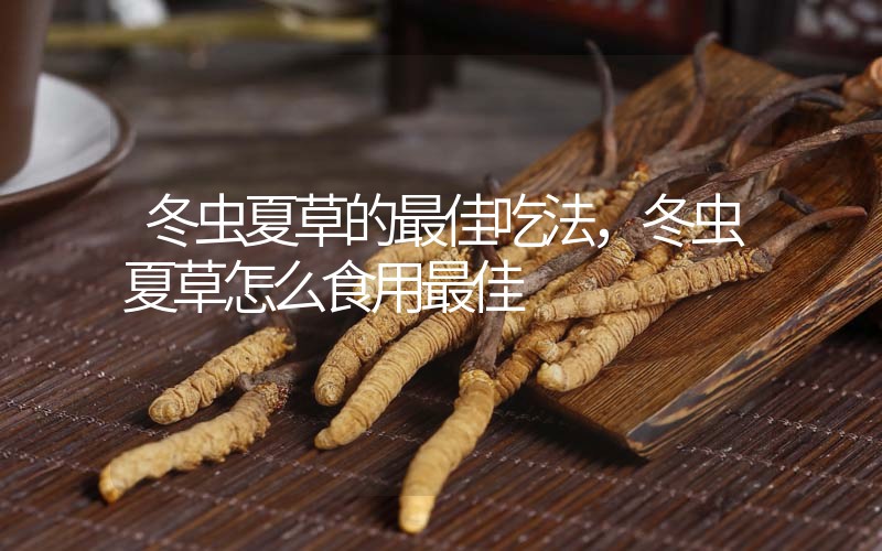 冬蟲夏草的最佳吃法，冬蟲夏草怎么食用最佳