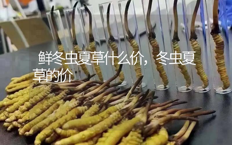 鮮冬蟲夏草什么價(jià)，冬蟲夏草的價(jià)格