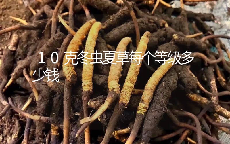 10克冬蟲夏草每個等級多少錢？
