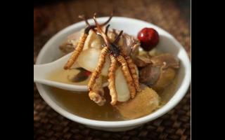冬蟲(chóng)夏草為什么賣(mài)的貴？原因是什么？