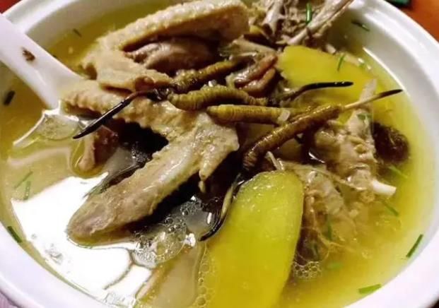冬蟲夏草和哪些食材可以一起煲湯？