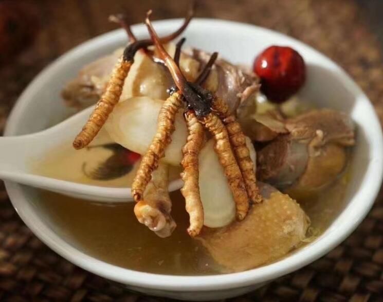 冬蟲夏草可以飯后吃嗎？