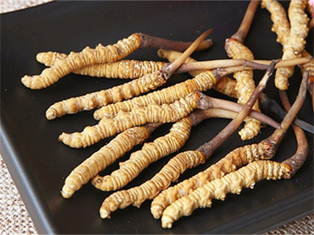 真的冬蟲夏草什么價(jià)格？影響冬蟲夏草價(jià)格波動(dòng)的3個(gè)關(guān)鍵因素