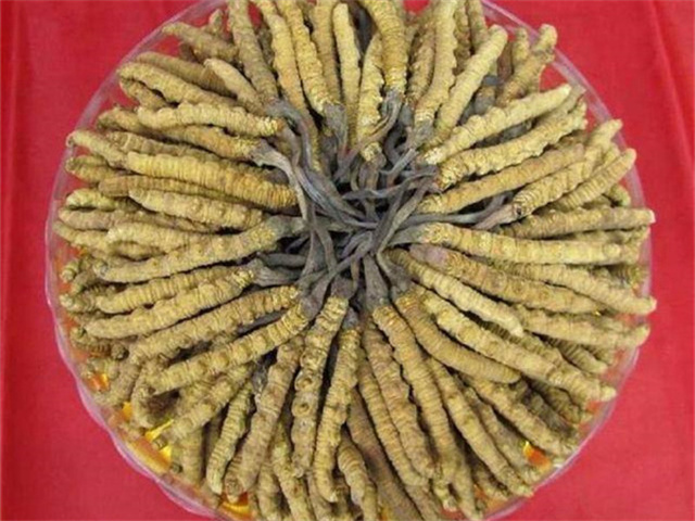 冬蟲(chóng)夏草價(jià)格一克多少錢？影響冬蟲(chóng)夏草價(jià)格的4個(gè)因素