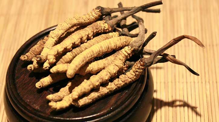 冬蟲夏草的價(jià)格一克：為何如此昂貴？