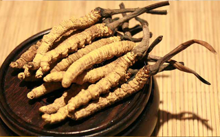 未來(lái)冬蟲(chóng)夏草會(huì)漲價(jià)嗎？