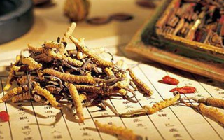 同仁堂健康冬蟲夏草：傳承品質(zhì)，饋贈健康