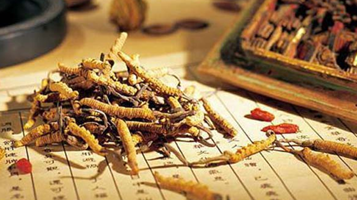 野生冬蟲(chóng)夏草：功效與真相的辯證審視