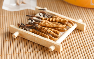 冬蟲夏草一般多少錢一斤？?jī)r(jià)格背后的價(jià)值解析