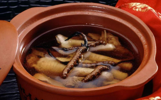 糖尿病可服用冬蟲夏草嗎？科學(xué)解析其調(diào)理價(jià)值與注意事項(xiàng)