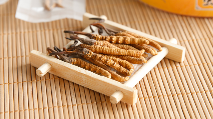 冬蟲(chóng)夏草形成的必要條件：多要素精準(zhǔn)契合的自然奇跡